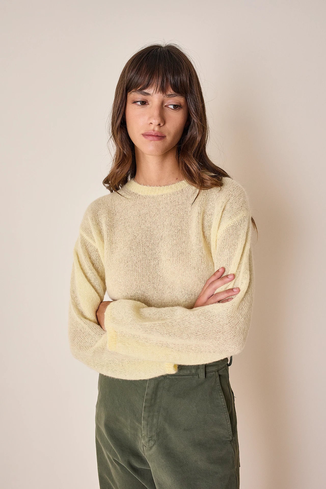 Mohair and baby alpaca crew neck sweater